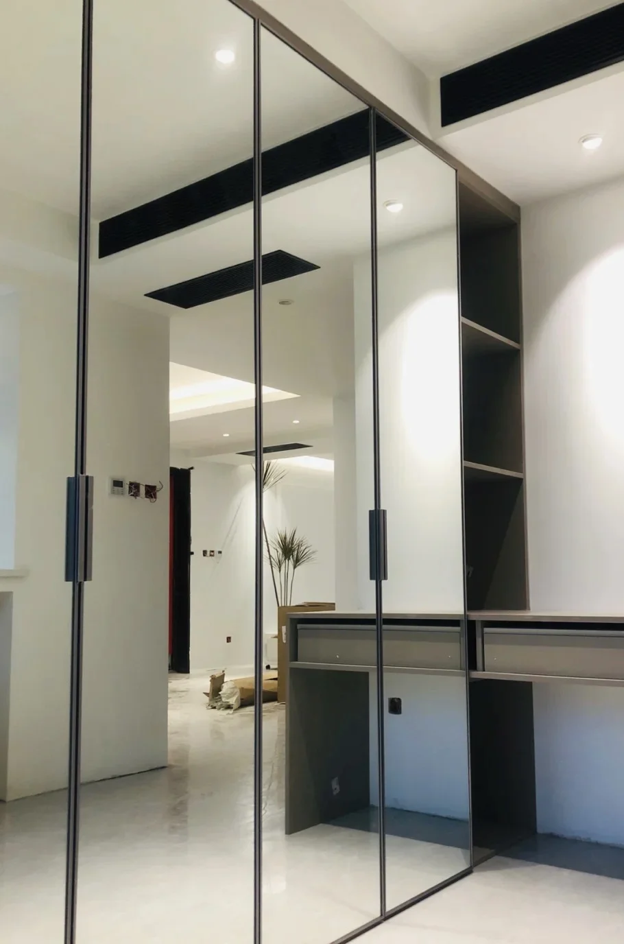 Clear Mirror door