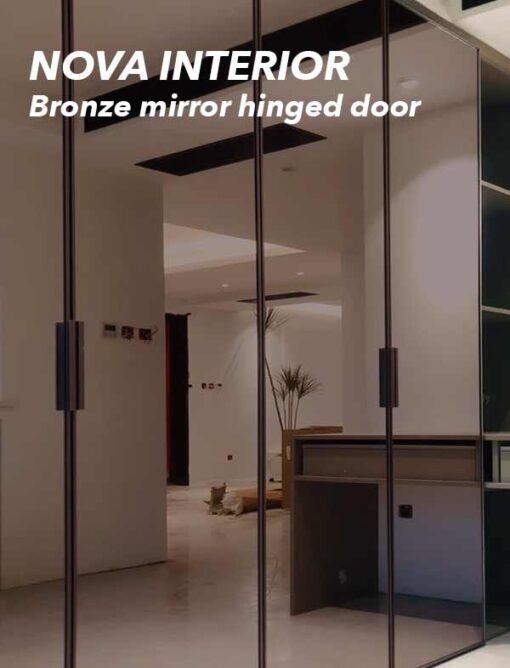 Bronze-mirror-hinged-door