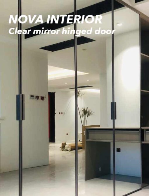 Clear-mirror-hinged-door