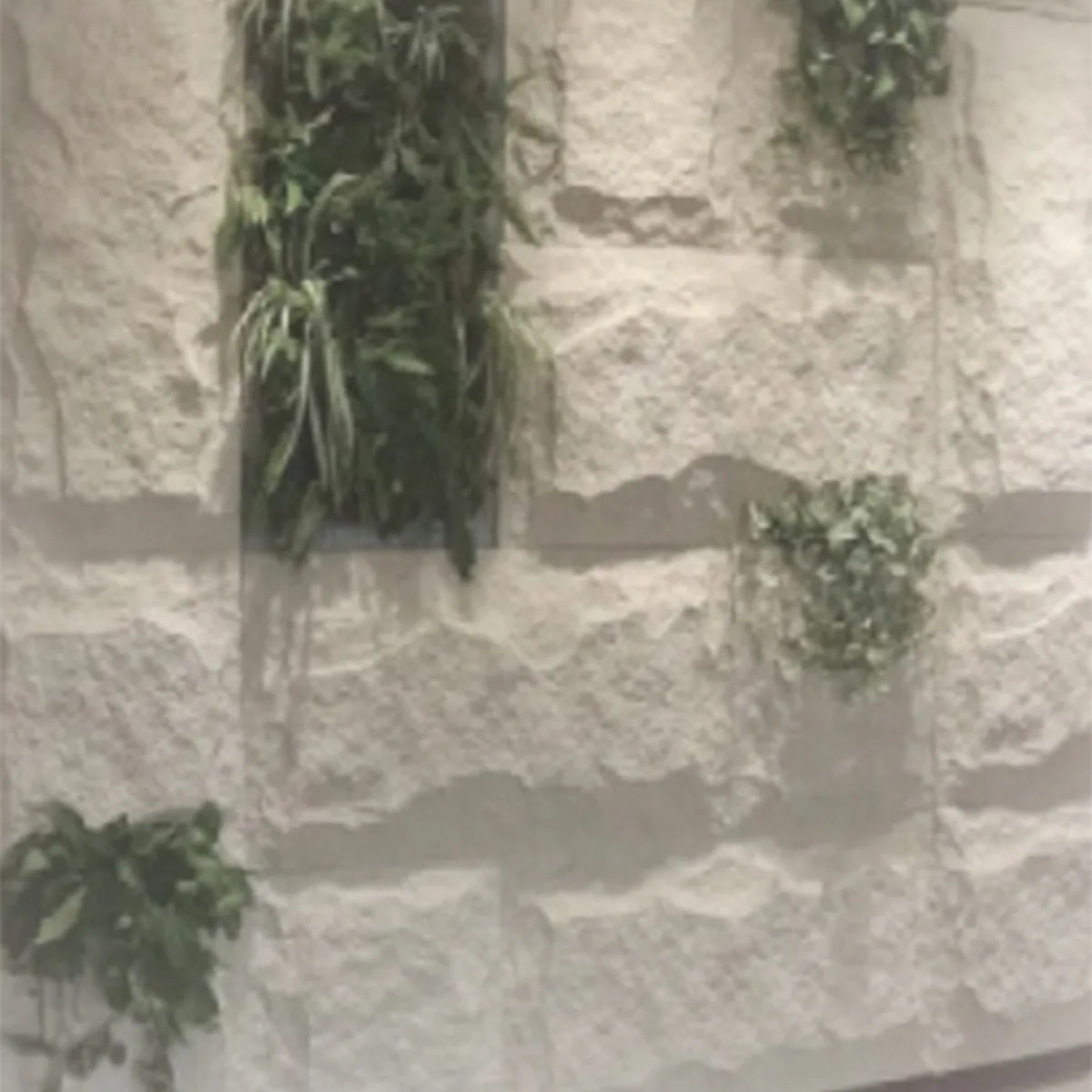 Slate mushroom stone tile 1200x600 - Fog Grey - Image 6